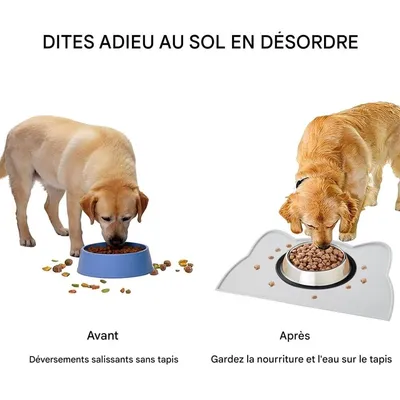 Pet Planet Cuenco con alfombrilla para perros y gatos