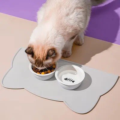 Pet Planet Cuenco con alfombrilla para perros y gatos