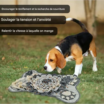 Pet Planet Alfombra de búsqueda para perros