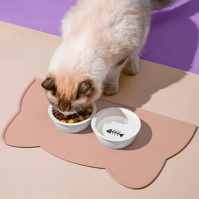 Pet Planet Cuenco con alfombrilla para perros y gatos