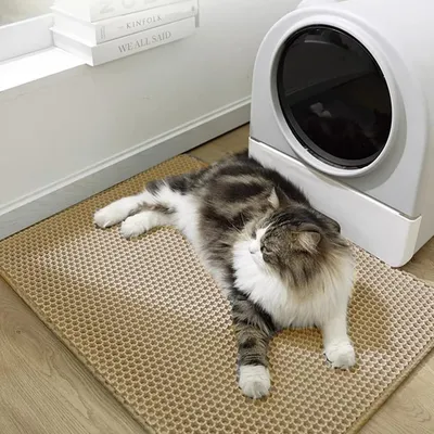 Pet Planet Chats Tapis Litiere