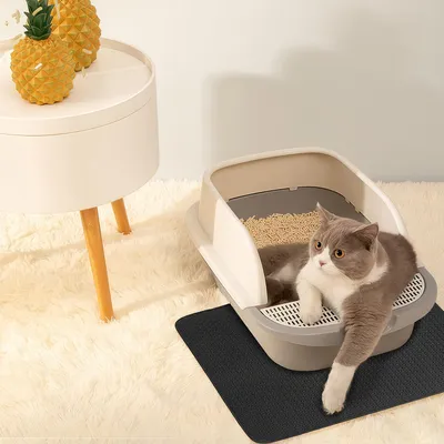 Tapis de Litière pour Chat à Double Couche en Nid d'Abeille