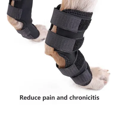 Petopia Attelles de compression pour pattes arrière de chien