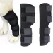 Petopia Attelles de compression pour pattes arrière de chien