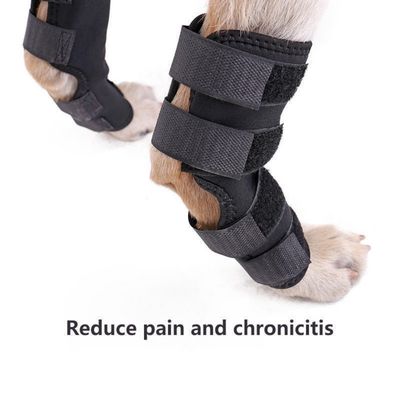 Petopia Attelles de compression pour pattes arrière de chien