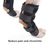 Petopia Attelles de compression pour pattes arrière de chien