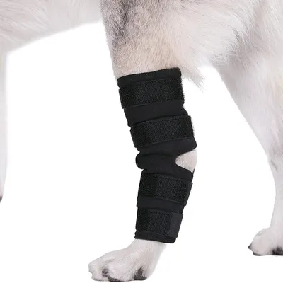 Petopia Attelles de compression pour pattes arrière de chien