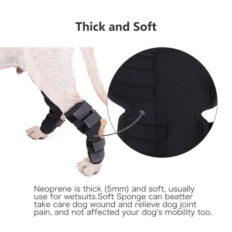 Petopia Attelles de compression pour pattes arrière de chien