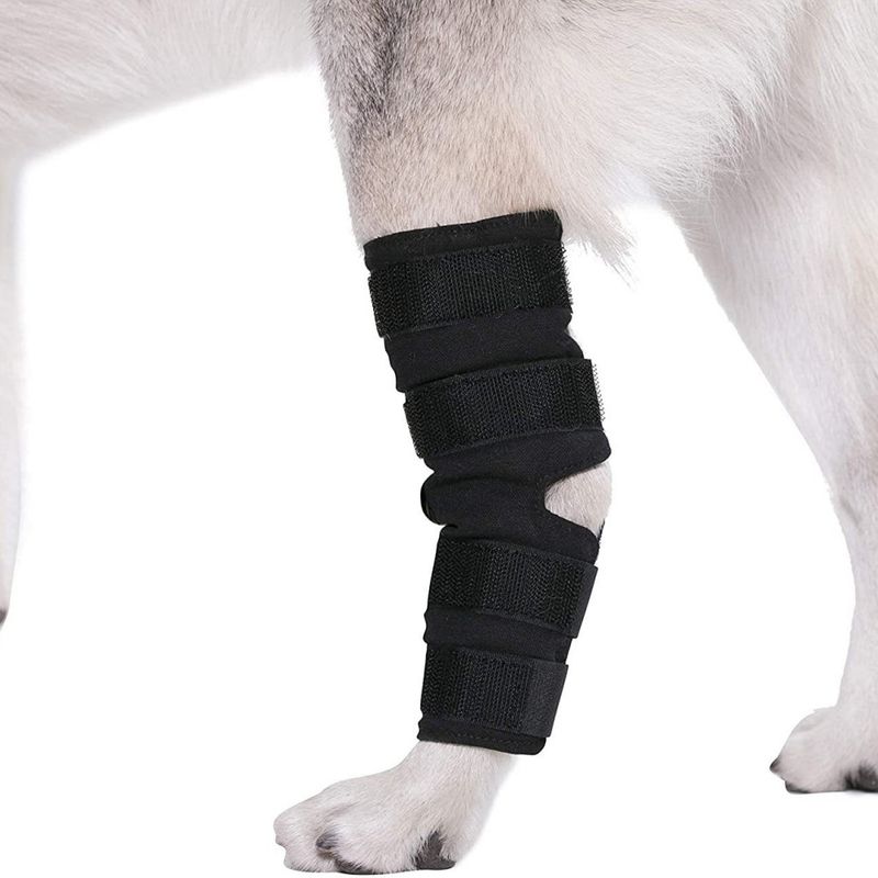 Petopia Attelles de compression pour pattes arrière de chien