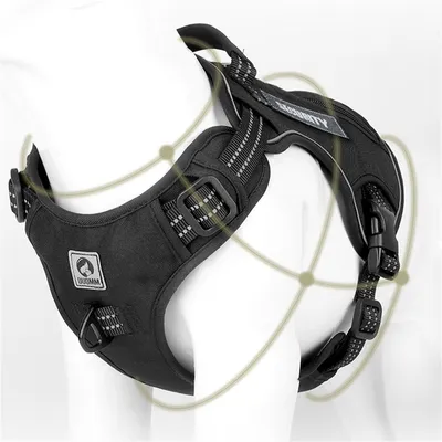 Pet Planet Harnais de poitrine pour chiens