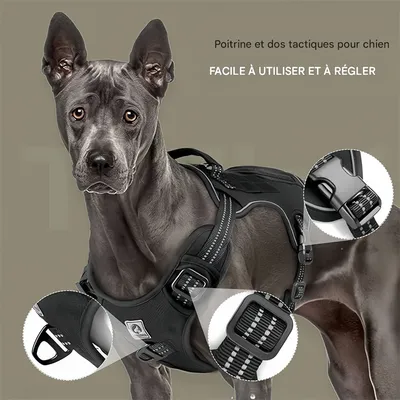 Pet Planet Harnais de poitrine pour chiens