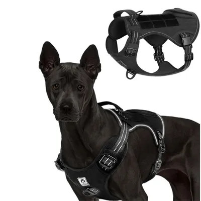 Pet Planet Arnés de pecho para perros