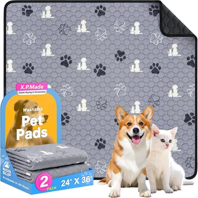 IntiMeg Lot de 2 alèses lavables pour Chien