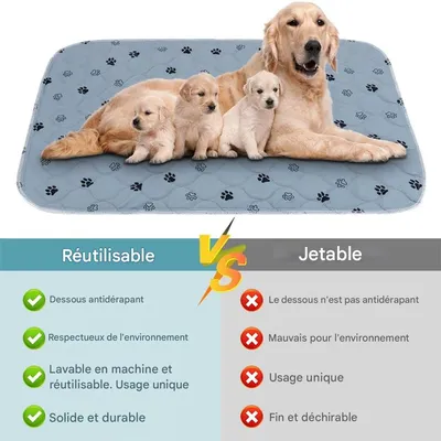 IntiMeg Tapis Educateur pour Chien
