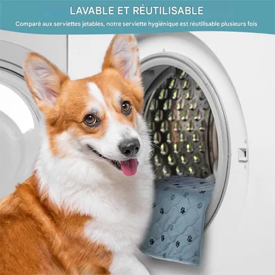 IntiMeg Tapis Educateur pour Chien