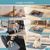 IntiMeg Tapis Educateur pour Chien