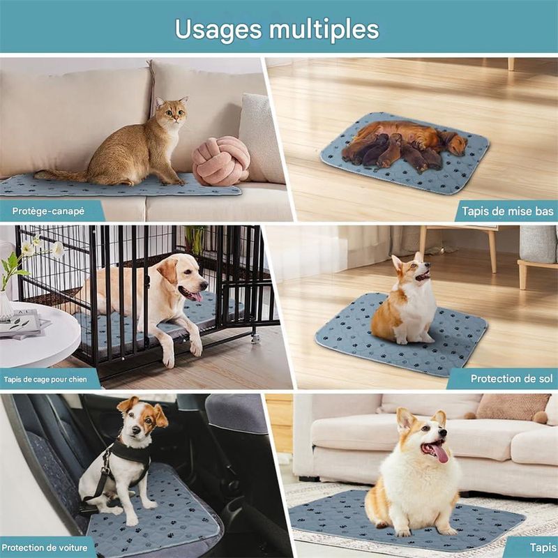 IntiMeg Tapis Educateur pour Chien