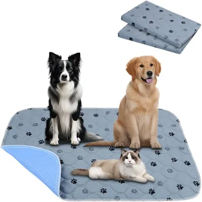 IntiMeg Tapis Educateur pour Chien