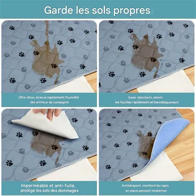 IntiMeg Tapis Educateur pour Chien