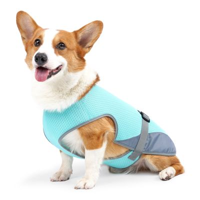 Petopia Gilet rafraîchissant pour chien