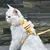 Petopia Harnois pour chat