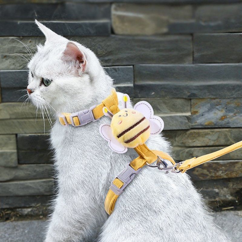 Petopia Harnois pour chat