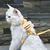 Petopia Harnois pour chat