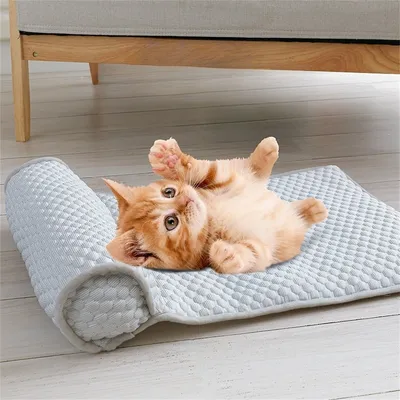 Pet Planet Matelas rafraîchissant pour animaux