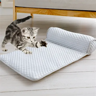 Pet Planet Matelas rafraîchissant pour animaux