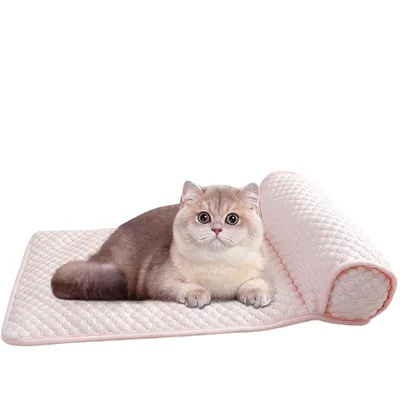 Pet Planet Matelas rafraîchissant pour animaux
