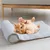 Pet Planet Matelas rafraîchissant pour animaux
