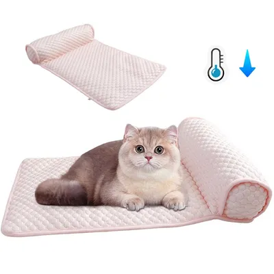 Pet Planet Matelas rafraîchissant pour animaux