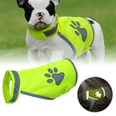 Petopia Vêtement réfléchissant pour chien