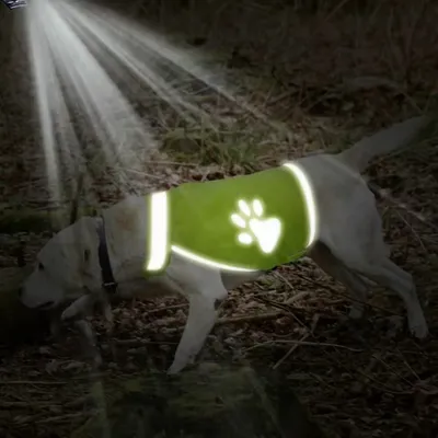 Petopia Vêtement réfléchissant pour chien