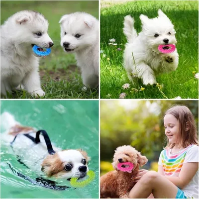 Pet Planet Chiots Happy Time Jouets à mâcher