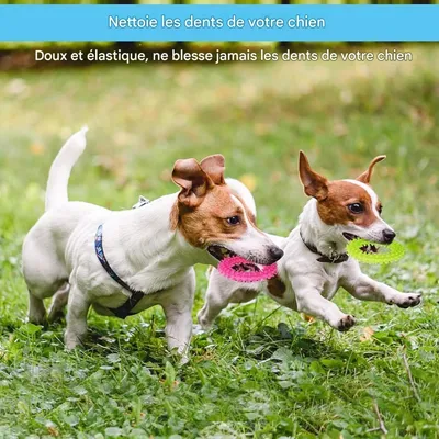Pet Planet Chiots Happy Time Jouets à mâcher