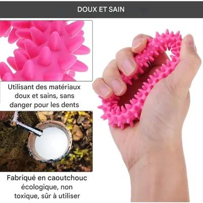 Pet Planet Chiots Happy Time Jouets à mâcher
