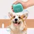 Pet Planet Chiens et Chats GroomPro Kit de Toilettage 7 Pièces