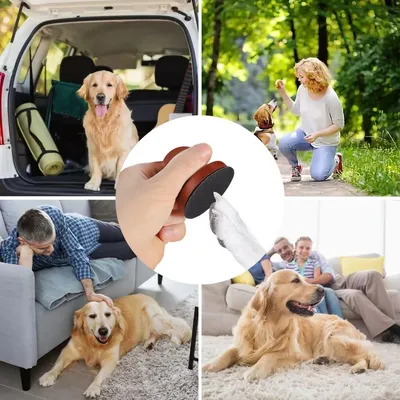 Petopia Lime à ongles pour chien