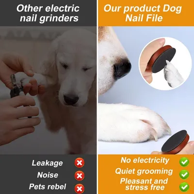 Petopia Lime à ongles pour chien