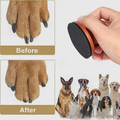 Petopia Lime à ongles pour chien