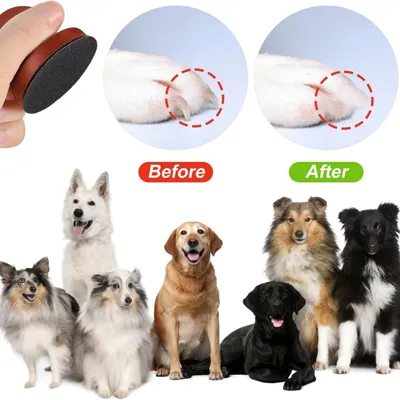 Petopia Lime à ongles pour chien