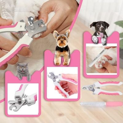Pet Planet Chiens et Chats GroomPro Kit de Toilettage 7 Pièces