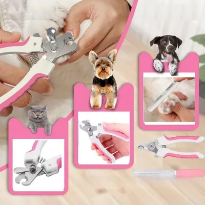 Pet Planet Chiens et Chats GroomPro Kit de Toilettage 7 Pièces