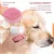 Pet Planet Chiens et Chats GroomPro Kit de Toilettage 7 Pièces