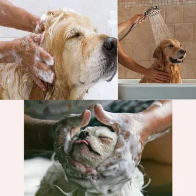 Petopia Serviette pour chien et chat