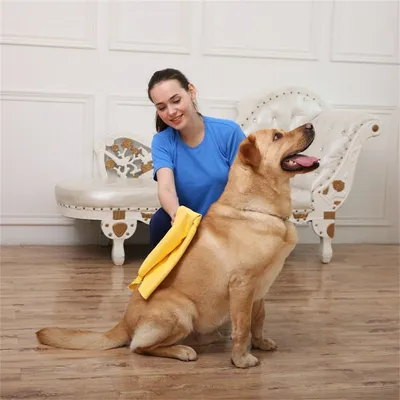 IntiMeg Serviette pour chien et chat