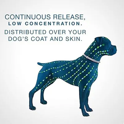 2 articles Petopia Collier anti-puces et anti-insectes pour chien