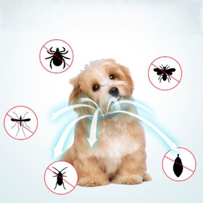 2 articles Petopia Collier anti-puces et anti-insectes pour chien