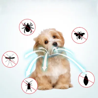 Petopia 2 articles Petopia Collier anti-puces et anti-insectes pour chien